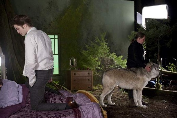 Edward Cullen